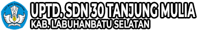 UPTD. SD NEGERI 30 TANJUNG MULIA